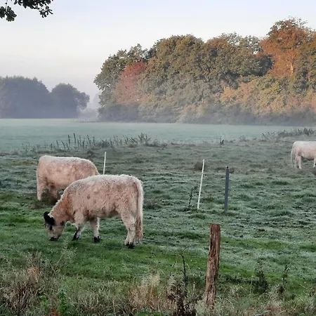 Feriehus 17 Premium Pod 